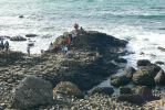 PICTURES/Northern Ireland - The Giant's Causeway/t_HH6.JPG